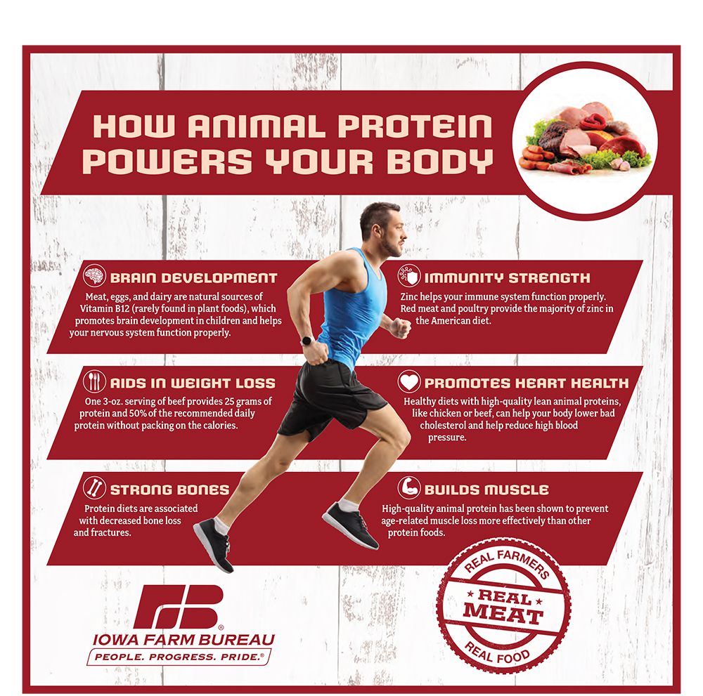 health and nutrition benefits of meat/animal protein